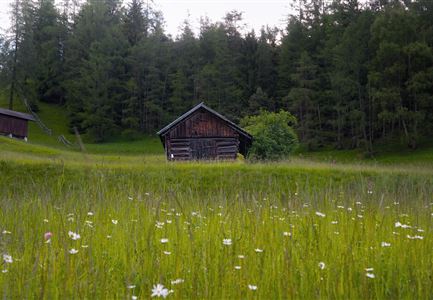 Bienenlehrpfad Reith - kleine Stadl am Anfang des Pfades bei Reith (1).jpg