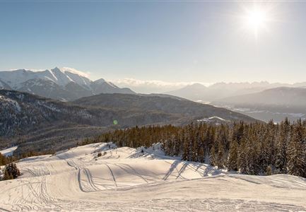 Toboggan run Rauthhütte