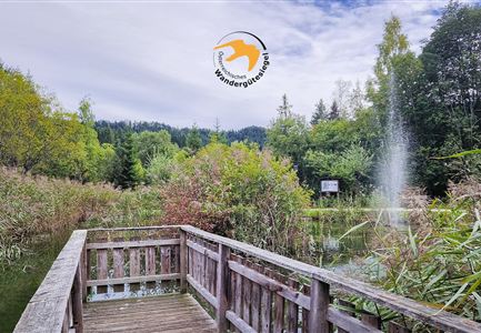 Dorfrundwanderung Leutasch im Sommer.jpg