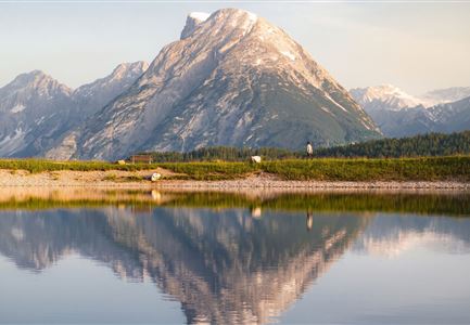 Drohnenaufnahme Gschwandtkopf Speichersee - Person läuft entlang des Speichersees mit Hohe Munde im Hintergrund (3).jpg