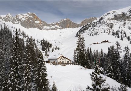 Drohnenaufnahme Wettersteinhütte - Blick durch Bäume Richtung Wettersteingebirge.jpg