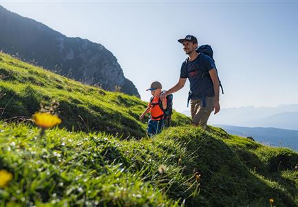 Familien-Weitwanderung im Gaistal - Vater und Sohn auf schmalem Weg durch grüne Wiese (1).jpg