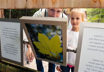 familienurlaub_in_der_region_seefeld_-_familie_in_der_geisterklamm_leutasch_8.jpg