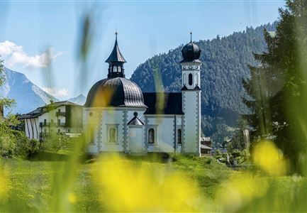 Fruehling Seefeld Blumen Wiese Seekirchl Landschaft