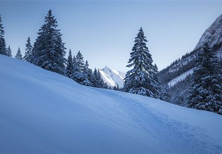 Gaistal Winter Naturaufnahme Winterwanderweg mit beschneiden Bäumen.jpg