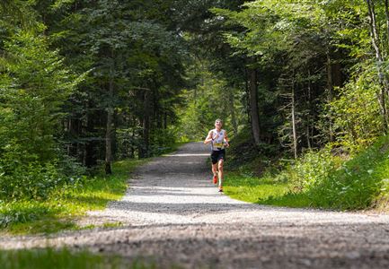 Ganghofertrail 2024 - einzelzer Läufer im Wald bei Weidachsee.jpg