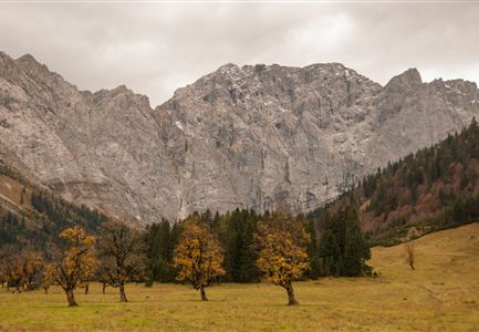 Karwendel, Engalm, Ahornboden_Tirol Werbung_Braun Jannis_Achenkirch am Achensee-2.jpg