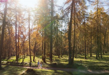 Lärchenwald in Reith - Drohnenaufnahme - Paar läuft zur den Wald - Aufnahme Richtung Sonne.jpg