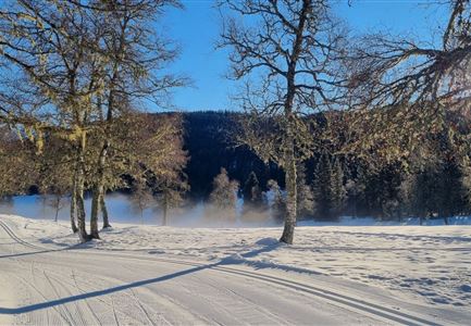 Langlaufen auf der C11