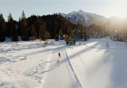 Langlaufen - Langläufer im Wildmoos (c)xc ski holidays - Alex Moling (1).jpg