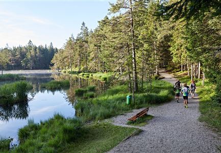 Laufeinheit am frühen Morgen am Moeserer See