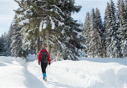 Leutasch - Winterwanderweg 15 Katzenloch