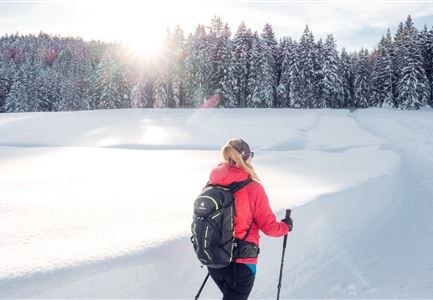 Leutasch - Winterwanderweg 18 Muggenmoos