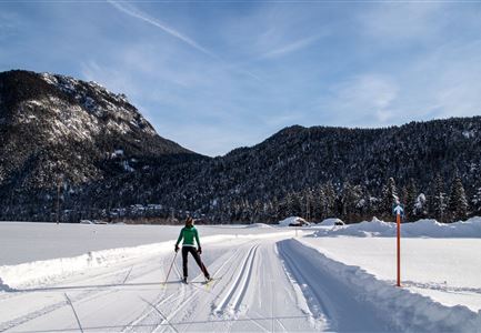 Loipe A7 Gasse mit Langlaeuferin.jpg