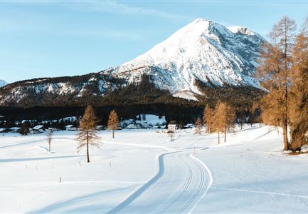 Loipe Plaik mit Blick auf die Hohe Munde - Loipe C9 - Luftaufnahme.jpg