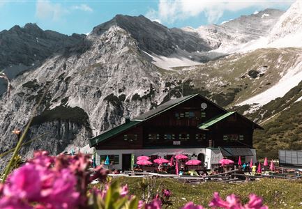 Pfeishuette im Karwendelgebirge mit Almrosen.jpg