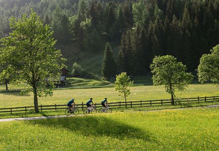 Road cyclists on the roller track