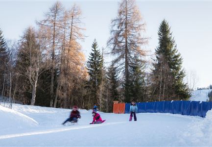 Rodelhügel Seefeld_Familie fährt den Hügel hinab.jpg