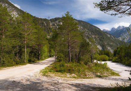 Scharnitz - Wanderung Dorfrunde - Weg bei Gießenbach (1).jpg