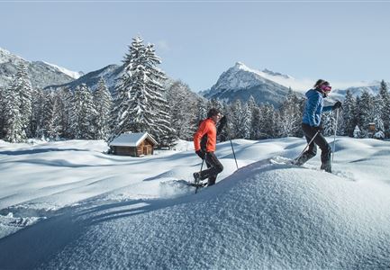 Schneeschuhwanderung (8) (1).jpg