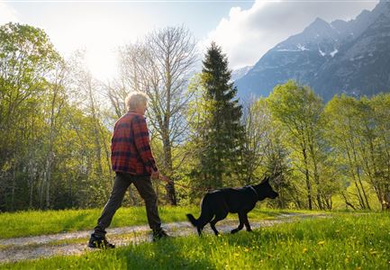 Spaziergang mit Hund in Unterleutasch - Mann läuft mit Hund entlang von Bäumen Aufnahme Richtung Sonne.jpg