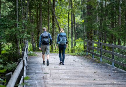 Teilnehmer_innen des Einhornmarsches von hinten auf einer Brücke in Reindlau, Leutasch (1).jpg