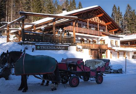 Triendlsäge im Winter - Gebäude mit Pferdekutsche.jpg