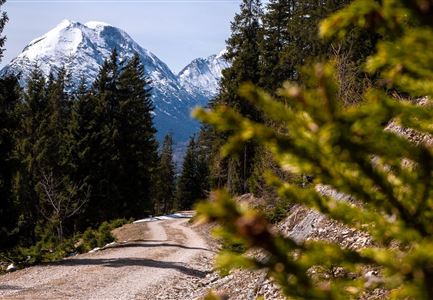 Wanderweg zur Hohen Fluder mit Blick Richtung Hohe Munde.jpg