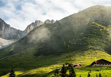 Wangalm im Sommer - Aufnahme bei goldenem Licht.jpg