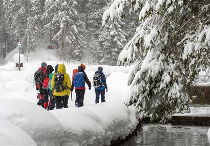 Weitwandern Etappe 1 Teilnehmer bei Bach (1).jpg