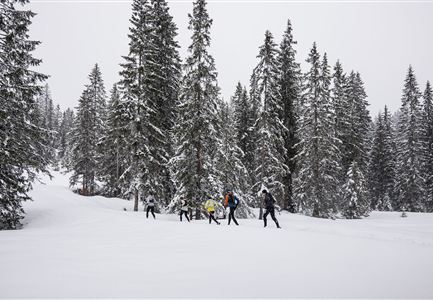 wintertrailrunning_in_der_region_seefeld_abseits_der_wege_-_laeufer_auf_dem_weg_zum_brunschkop.jpg