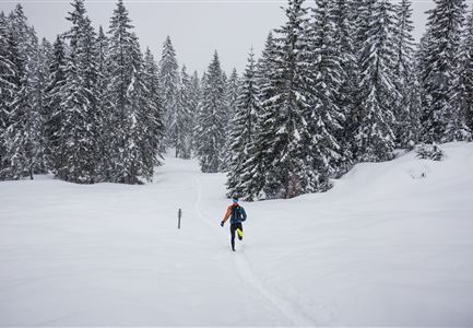 Wintertrailrunning in der Region Seefeld (abseits der Wege) - Läufer läuft alleine in den Wald in traumhafter Winterlandschaft.jpg