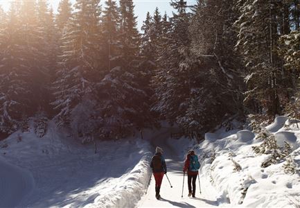 Winterwandern am Wildmoos Plateau-Weg von der Lottenseehütte