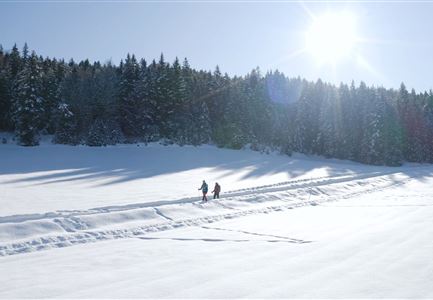 Winterwandern im Schnee (1) (3).jpg