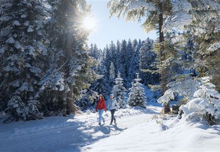 Winterwandern im Wildmoos_Wanderinnen laufen durch Wald bei viel Schnee.jpg