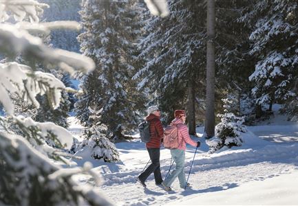 Winterwandern in der Region Seefeld_Mann und Frau laufen wandern im Wildmoos_Aufnahme von hinten mit verschneiten Ästen im Vordergrund (1).jpg