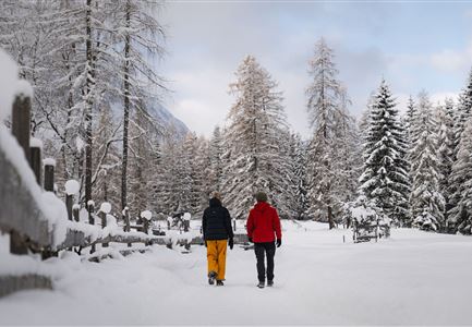 Winterwandern Paar Oberer Wiesenweg Aufnahme von Paar von Hinten laufen neben Zaun (1).jpg