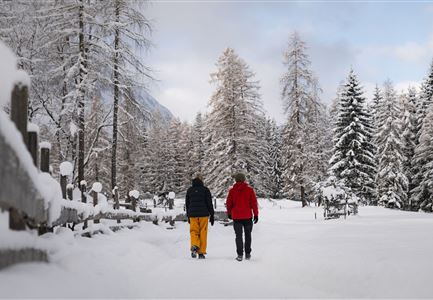 Winterwandern Paar Oberer Wiesenweg Aufnahme von Paar von Hinten laufen neben Zaun (2).jpg