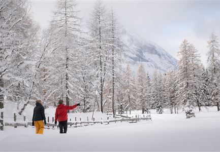 Winterwandern Paar Oberer Wiesenweg Mann zeigt auf etwas Hohe Munde im Neben im Hintergrund (1).jpg