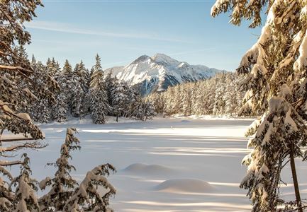 Winterwandern um den Möserer See