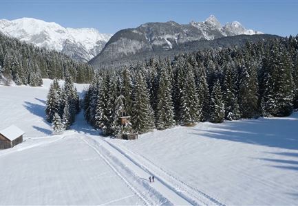 W19: Winter hike Wildmoosalm - Fludertal