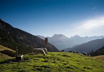 Zirl, Solsteinhaus, Erlsattel_Tirol Werbung_Wiedenhofer Martina_Zirl.jpg