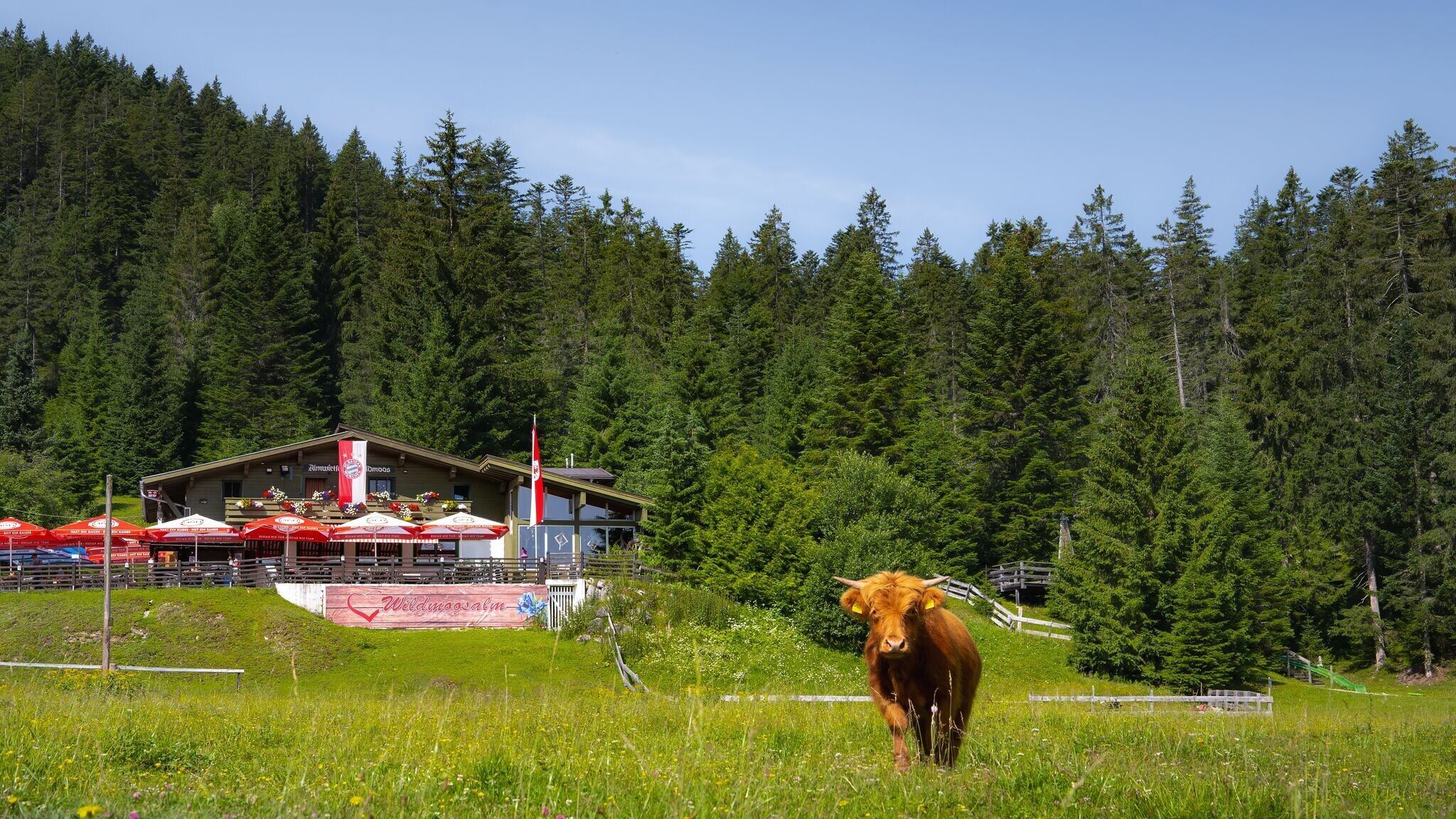 Wanderung zur Wildmoosalm