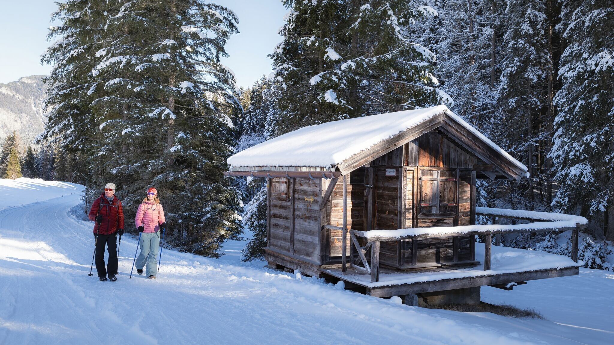 W19: Winterwanderung Wildmoosalm - Fludertal