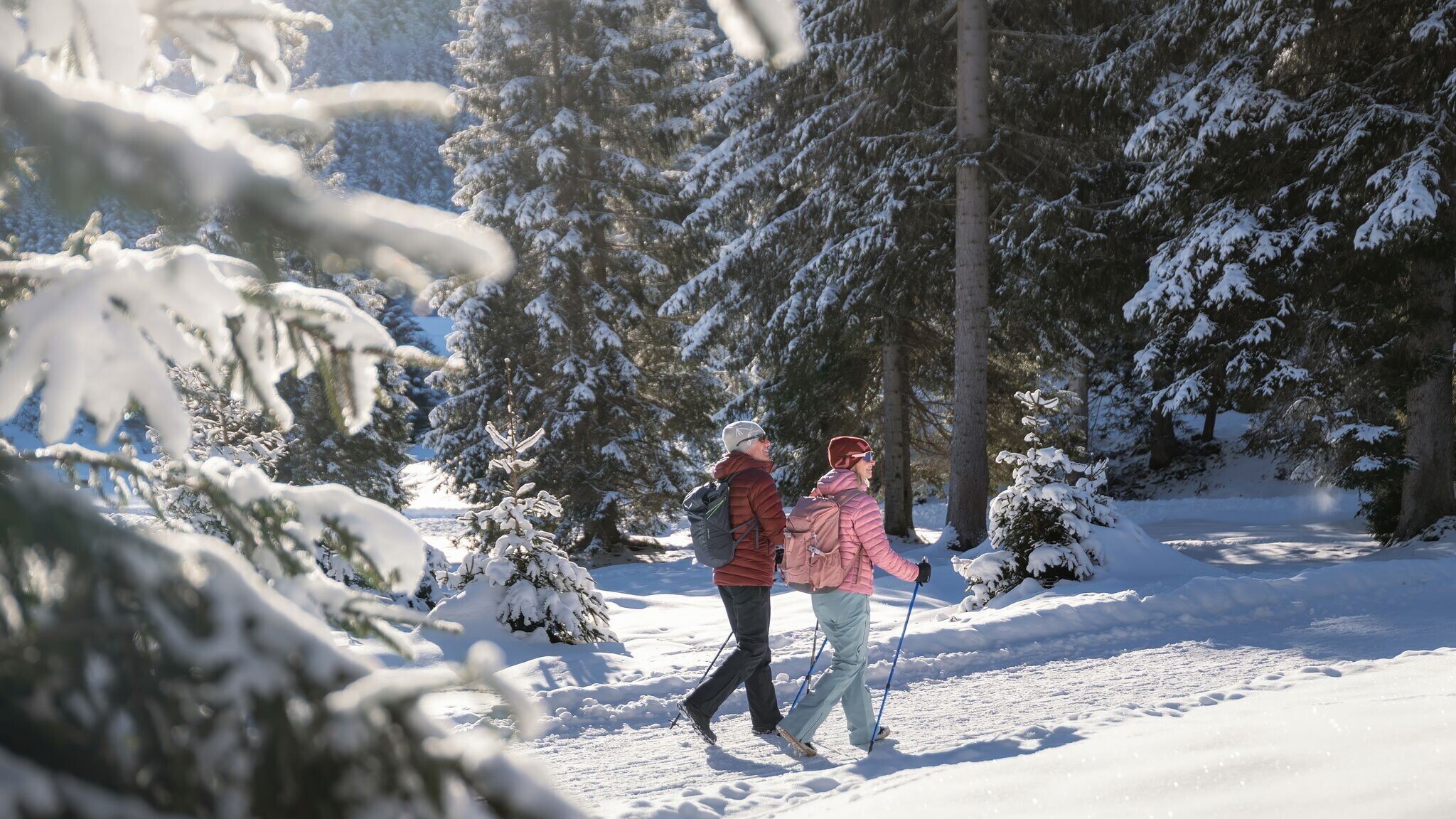 W28: Winterrundwanderung Mösern-Wildmoosalm-Lottenseehütte